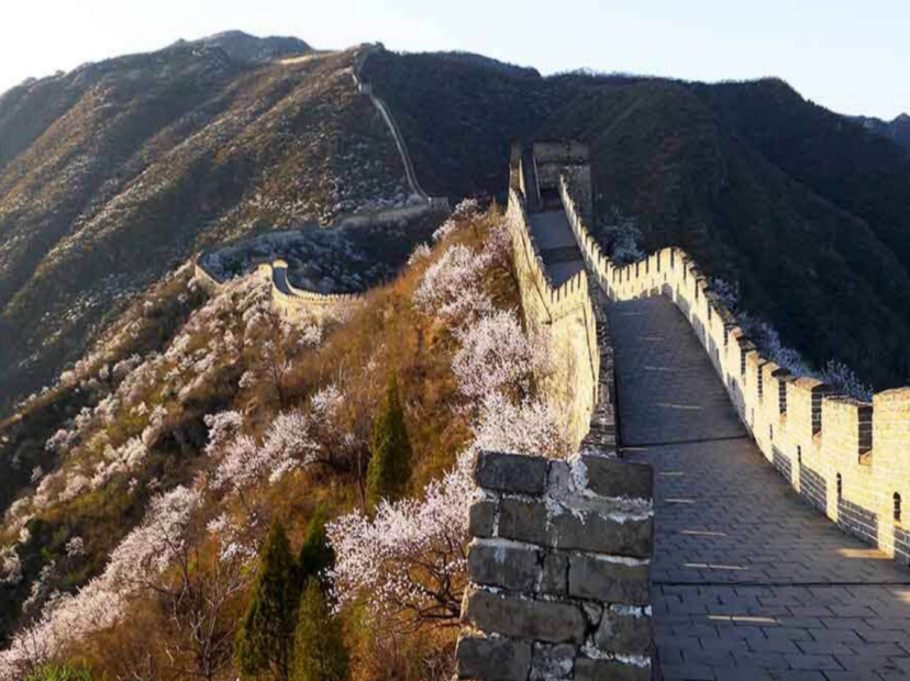 慕田峪長城賞花