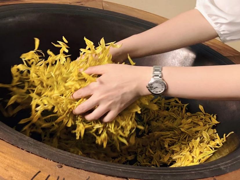 甕安黃金芽茶葉種植基地