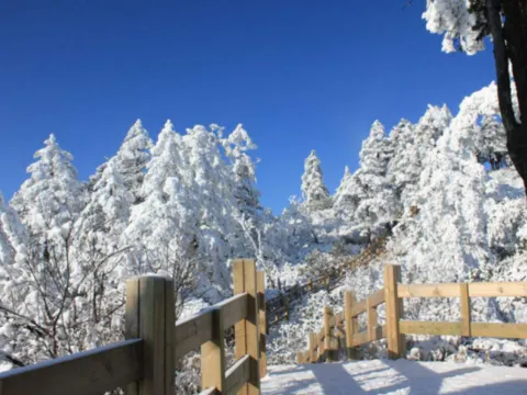 龍江第一高峰山頂霧淞