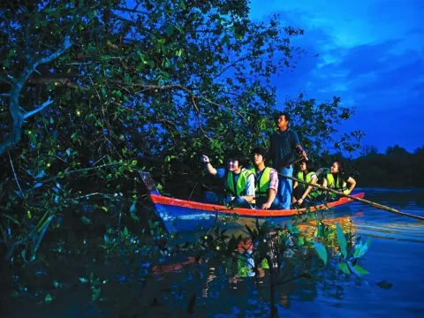 瓜拉雪蘭莪乘船夜觀螢火蟲