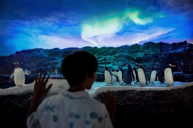 新加坡飛禽公園