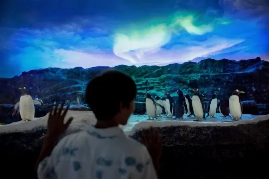 新加坡飛禽公園