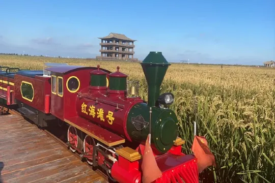 紅海灘稻田小火車