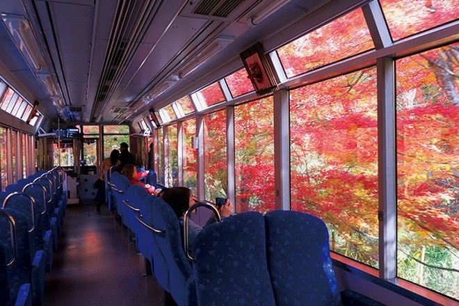 叡山紅葉列車