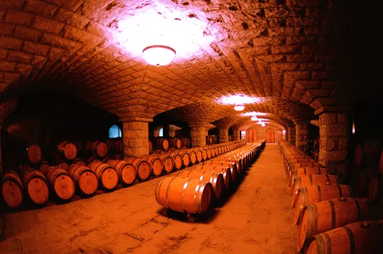 張裕葡萄酒酒窖