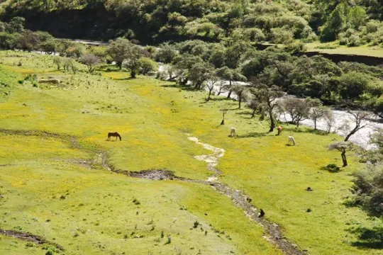 「東方阿爾卑斯」四姑娘山