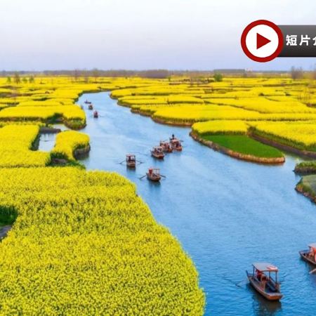 江南(揚州、興化千垛油菜花田、蘇州、上海) 5天團
鳳城河梅園、七里山塘街、東關街、黃浦江外灘、武康大樓、打卡網紅LV巨輪【蘇州保證入住1晚私人度假島嶼上高端豪華Four Seasons四季酒店】