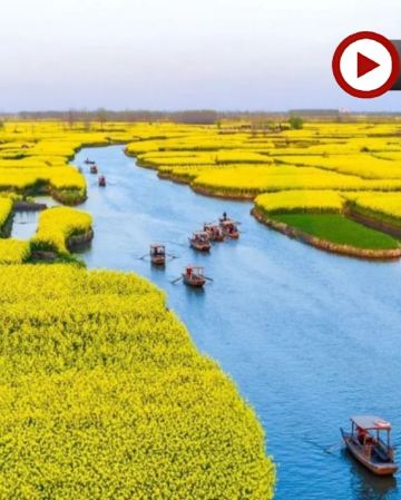 江南純玩(揚州、興化千垛油菜花田、蘇州、上海) 5天團
鳳城河梅園、七里山塘街、東關街、黃浦江外灘、武康大樓、打卡網紅LV巨輪【蘇州保證入住1晚私人度假島嶼上高端豪華Four Seasons四季酒店】