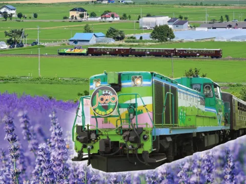 《夏日增遊》乘坐富良野Norokko 號薰衣草列車