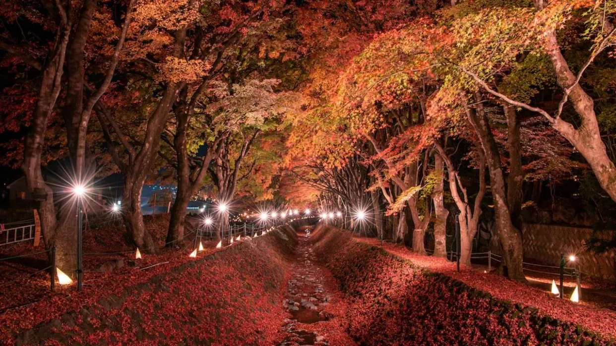 河口湖紅葉迴廊
