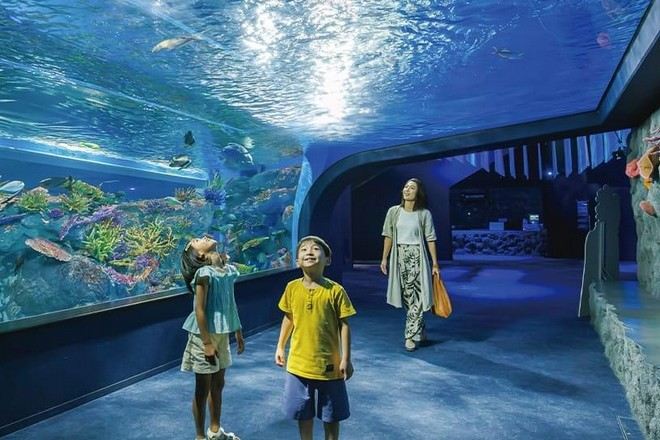 DMM Kariyushi水族館