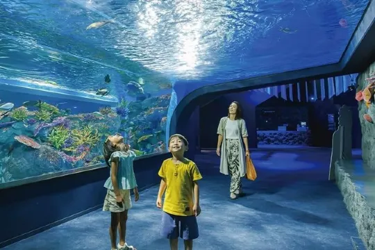 DMM Kariyushi水族館