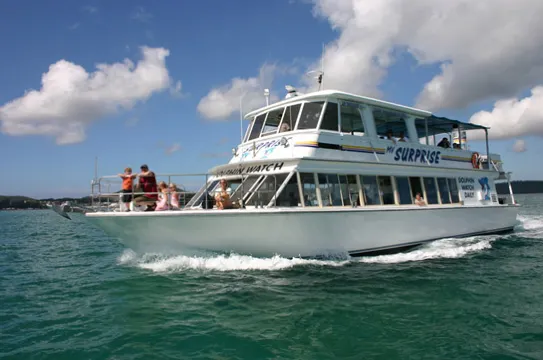 史提芬港海豚觀賞