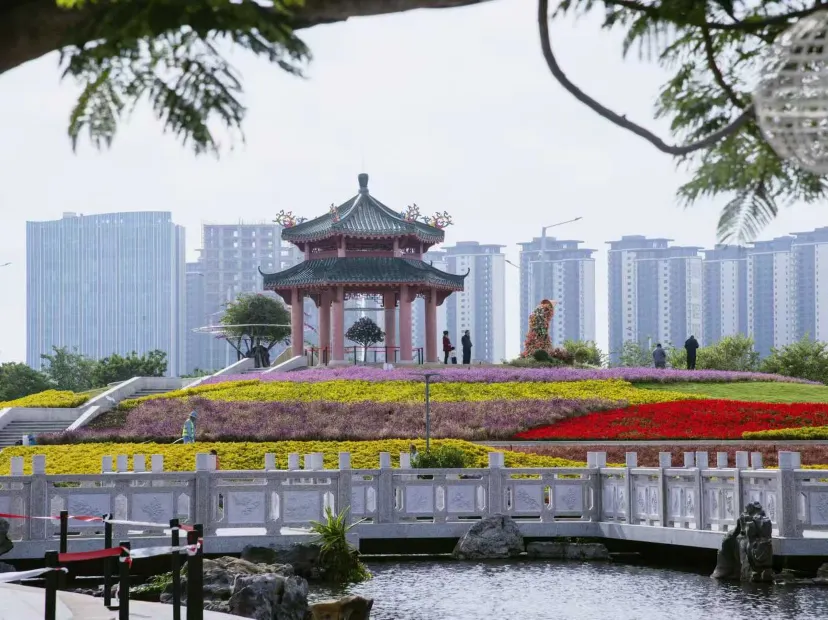 潮人花海
