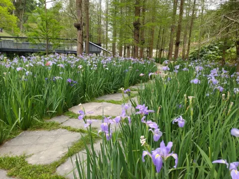 雲蘿植物園
