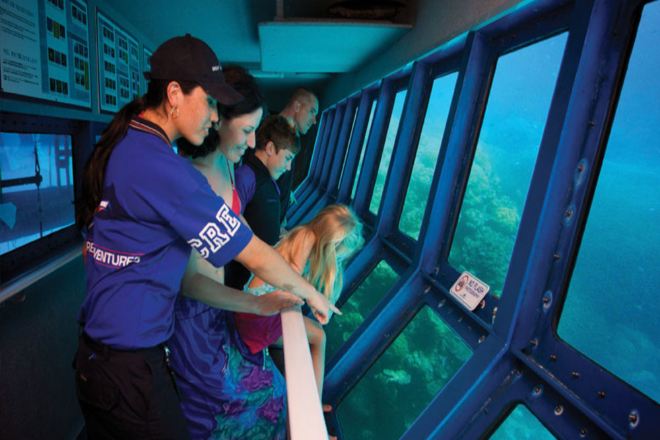 半潛艇觀賞珊瑚礁