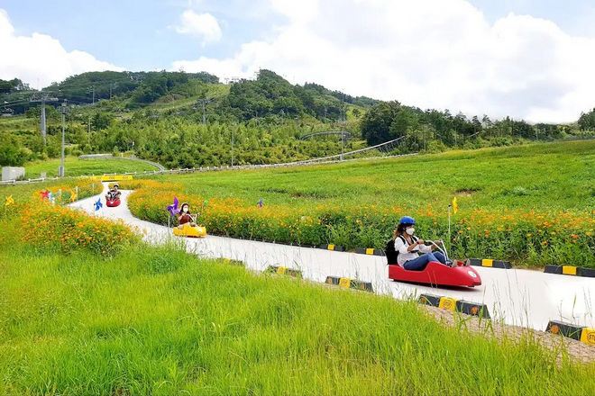 alpensia luge 
