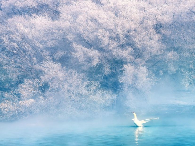 天鵝泉濕地公園