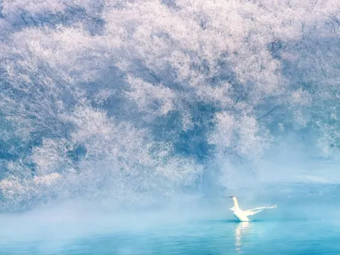 天鵝泉濕地公園