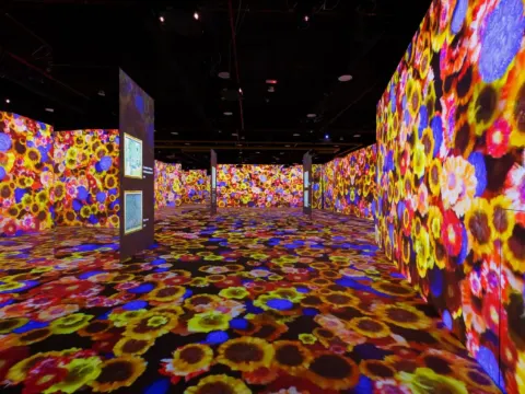 Immersify Kuala Lumpur~沉浸式體驗