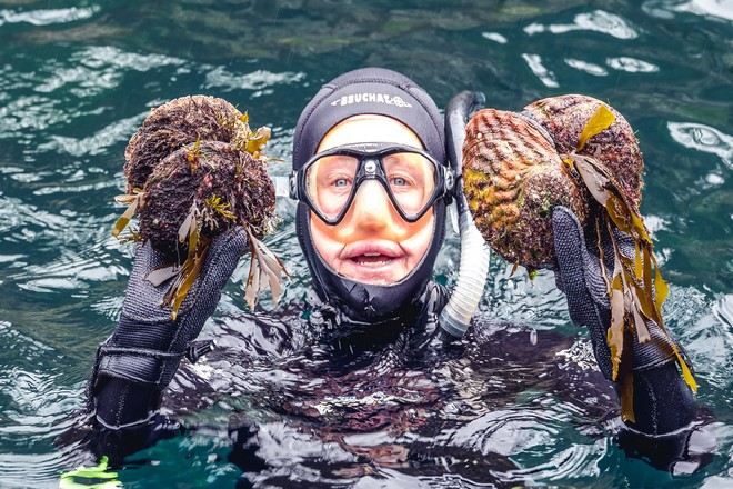 塔斯曼尼亞海鮮遊船