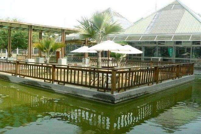 烏樹林休閒園區