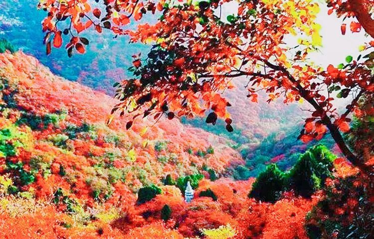 石門國家森林公園