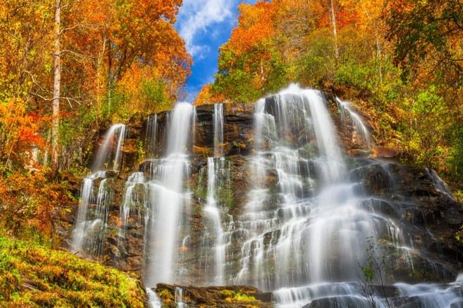 沃格爾州立公園