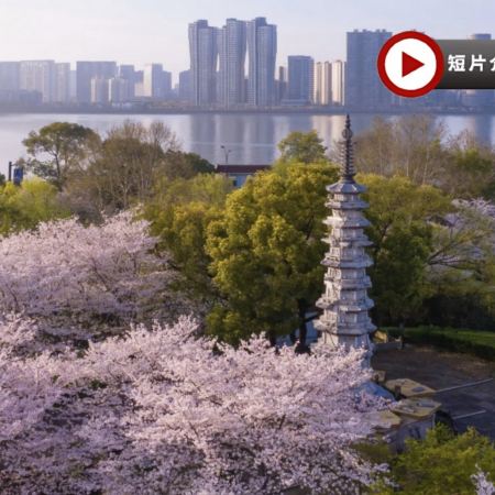 花漾江南🌸6天團【三大地標奢華酒店：上海外灘茂悅酒店、杭州康萊德酒店、南潯萬豪酒店】香雪海賞梅花/櫻花、榮氏梅園/賞櫻勝地黿頭渚、濮院時尚古鎮、船遊西湖十景、夜遊南潯古鎮、上海LV巨輪 