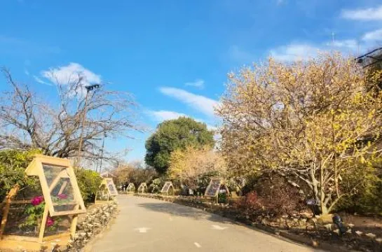 足利花卉公園冬天