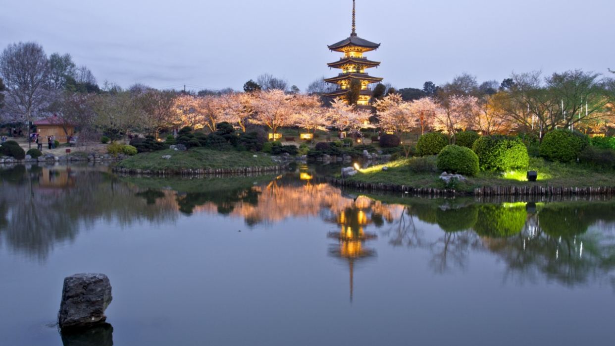 東湖櫻花園夜景