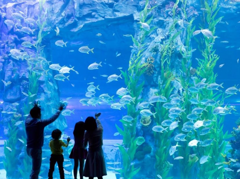 樂天世界水族館