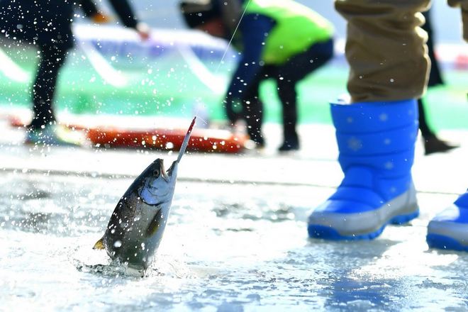 華川山鱒魚慶典