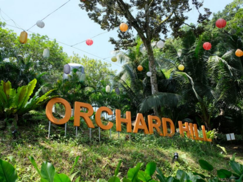 Orchard Hill