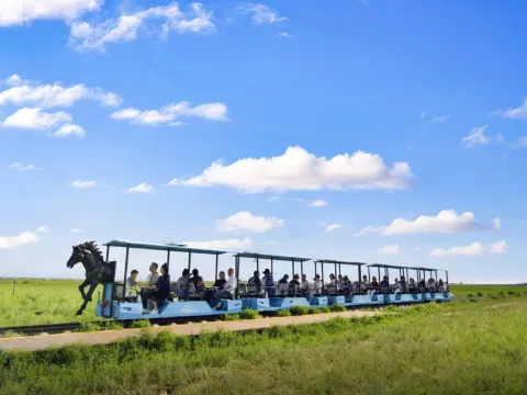 鄂爾多斯草原~軌道車