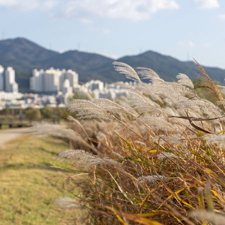 大邱+釜山4天周遊之旅 ※大邱SpaElybaden汗蒸幕、TtangTtangLand炸雞體驗 ※釜山海月天空步道+青沙浦紅白燈塔、大渚生態公園、甘川洞文化村《11月30日前出發適用》