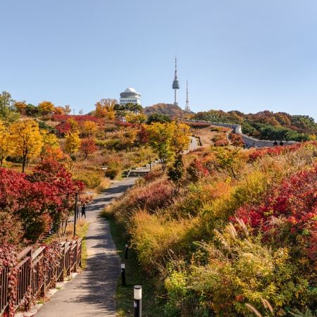 仁川+首爾5天遊玩之旅 ※始興河溝生態公園、日月樹木園、仁川大公園、南山公園、西大門弘濟瀑布、水原星空圖書館、沉浸式體驗藝術長廊「極光道」、樂天PremiumOutletTimeVillas