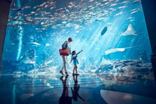 Atlantis Sanya Hotel-水族館