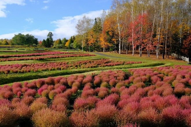 國營瀧野鈴蘭丘陵公園