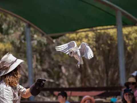 雀鳥動物保育中心