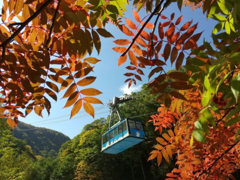 北海道~道東 秋色探索7天名湯之旅 全日本最早紅葉~黑岳重本包乘空中纜車/北の森冰之世界、能取湖紅色珊瑚草/天都山展望台、十勝牧場の家~牧羊犬綿羊Show、北見狐狸村、3晚溫泉酒店 北海道~道東 秋色探索7天名湯之旅 全日本最早紅葉~黑岳重本包乘空中纜車/北の森冰之世界、能取湖紅色珊瑚草/天都山展望台、十勝牧場の家~牧羊犬綿羊Show、北見狐狸村、3晚溫泉酒店