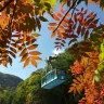 北海道~道東 秋色探索7天名湯之旅 全日本最早紅葉~黑岳重本包乘空中纜車/北の森冰之世界、能取湖紅色珊瑚草/天都山展望台、十勝牧場の家~牧羊犬綿羊Show、北見狐狸村、3晚溫泉酒店