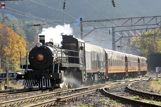 之字形蒸汽觀光火車體驗