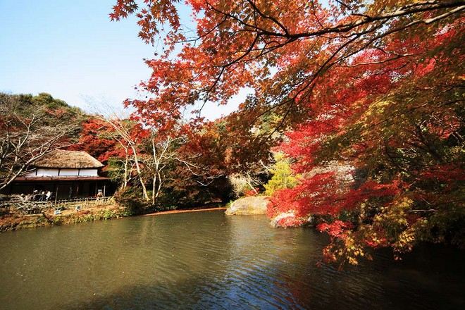 御船山樂園紅葉祭