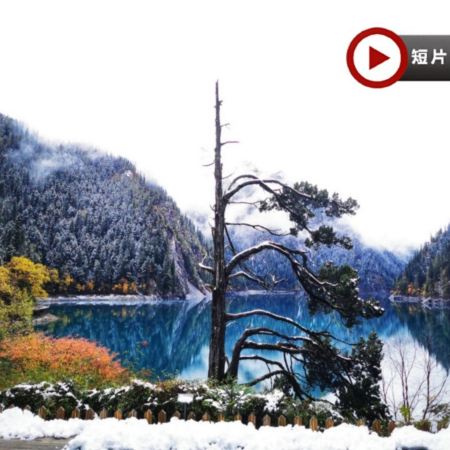 《九寨溝‧牟尼溝‧成都》全日充裕時間遊覽九寨溝(童話世界)、牟尼溝(世界落差最大鈣化疊瀑布)、都江堰熊貓樂園(觀看國寶大熊貓)、茶馬重鎮~松潘古城、成都太古里City Walk 6天升級純玩團