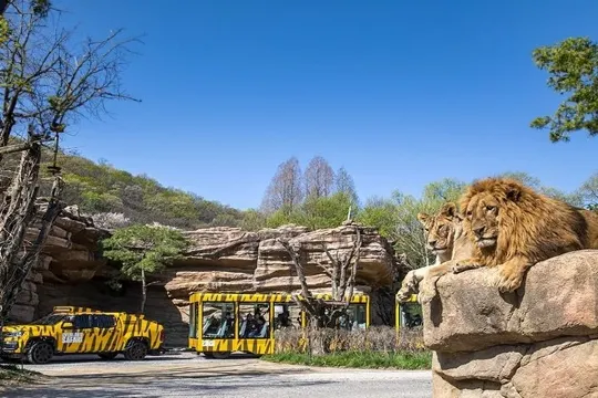 愛寶樂園 EVERLAND