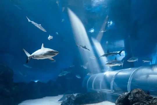 新加坡海洋生態館