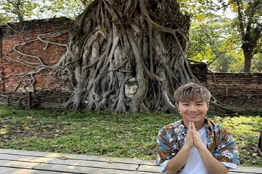 瑪哈泰寺(樹中佛首)