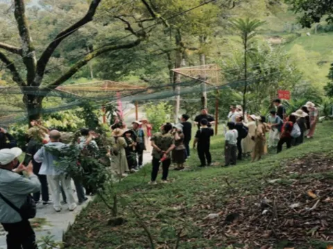 果園~ Orchard Hill