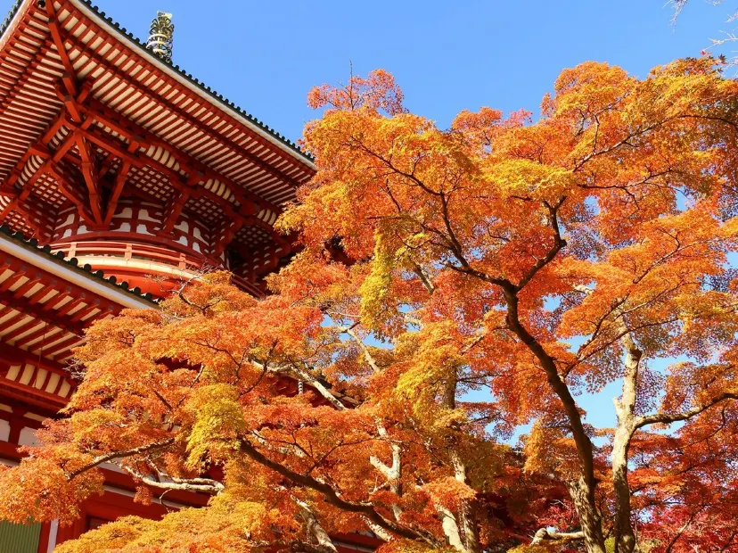 成田山新勝寺